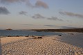 île de Española - Galapagos Ref:37002